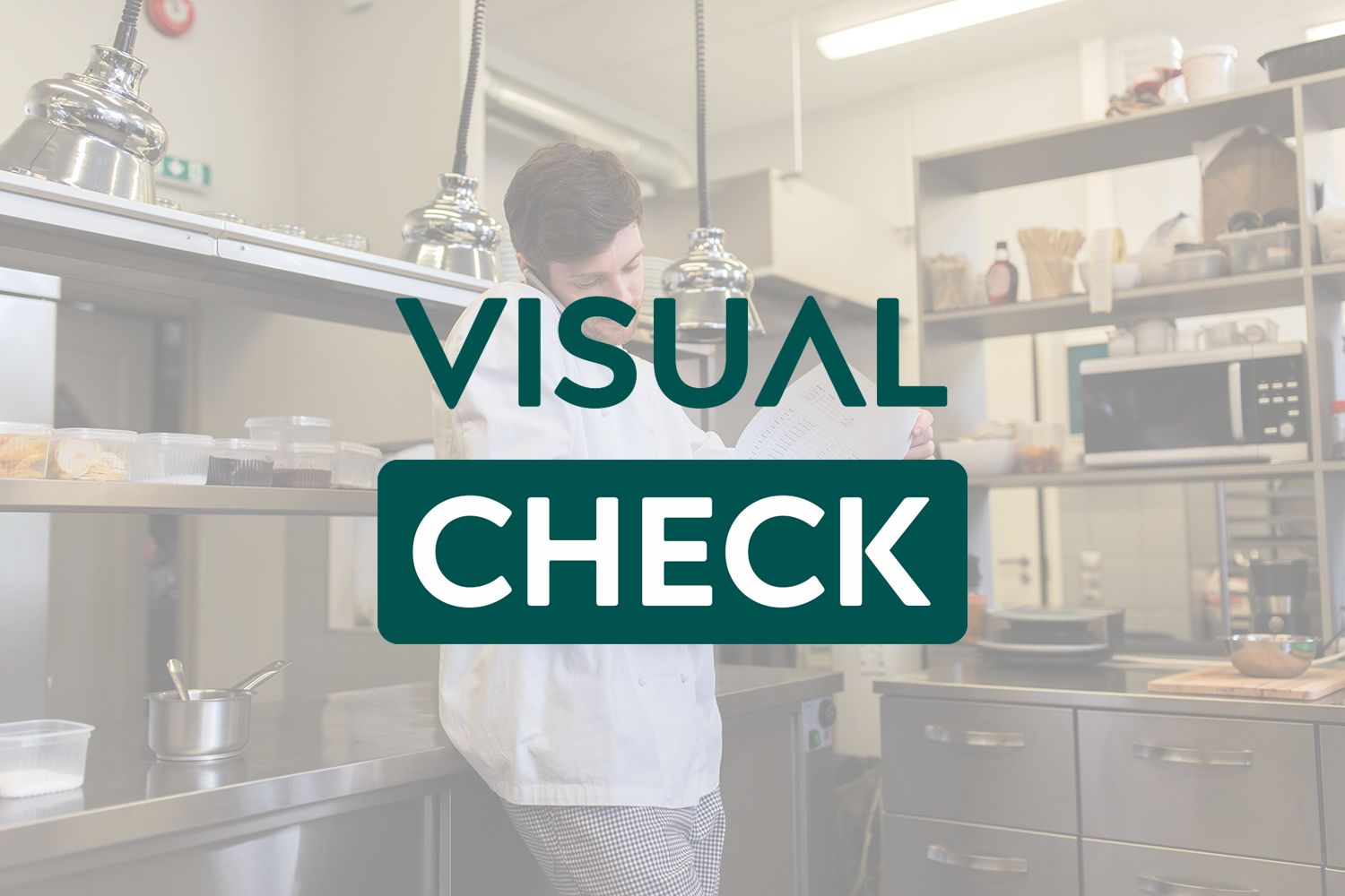 visual-check-visualisis